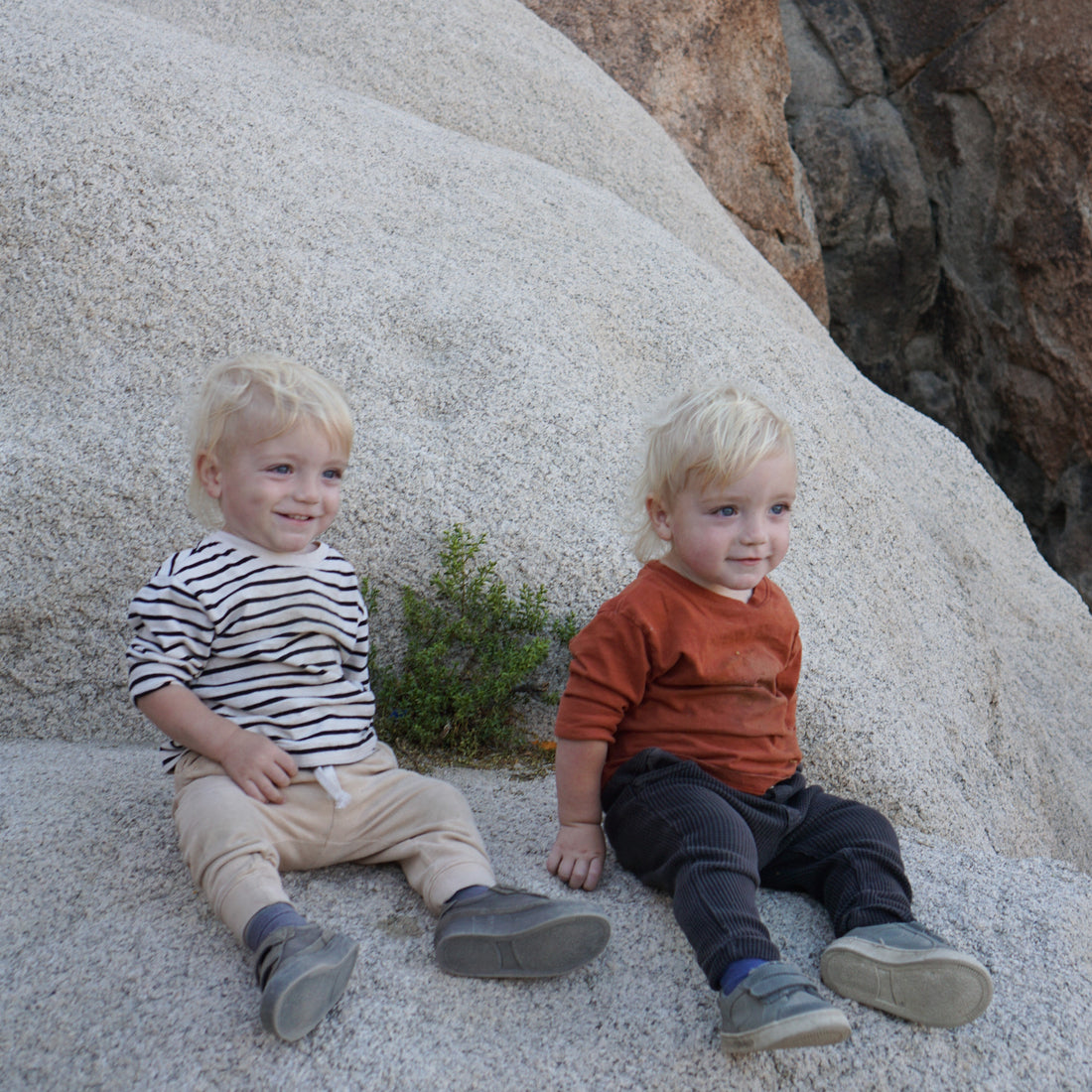 Camping in Joshua Tree