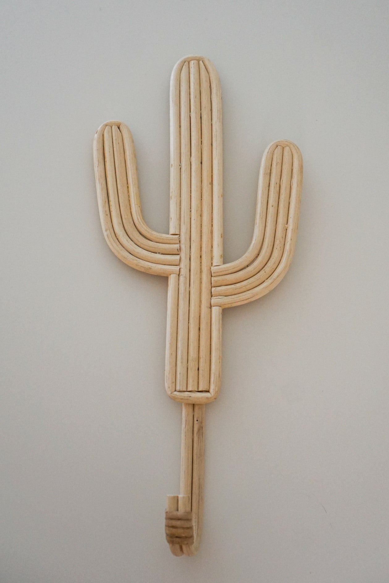 Rattan Cactus Wall Hook