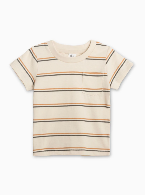 Pewter and Tan Striped Shirt